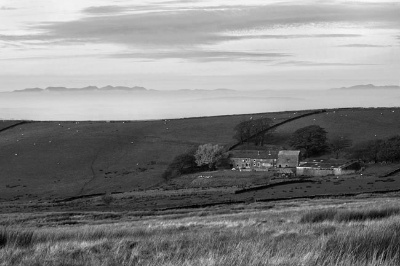 View Over Starkers Moor, Bowland, To Distant Lakeland Fells