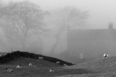 Sheep farm on the slopes of Pendle Hill