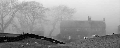 Sheep farm on the slopes of Pendle Hill