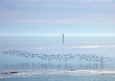 Lythm Estuary, Winter -  Ref 8402