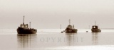 Lytham Shrimp Boats, Ref : 2656