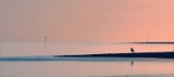 Evening Watch Lytham Estuary. Ref : 8947