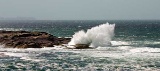 CRW_9002-pan