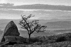Distant Arnside - Ref: 5621