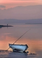 CRW_1544.jpg