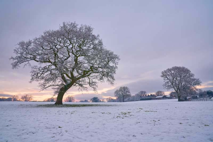 Mitton Green near Clitheroe