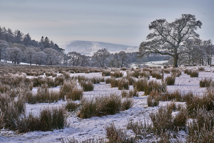 Totridge Fell, Forest of Bowland