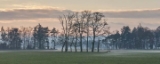 DSC01482.jpg