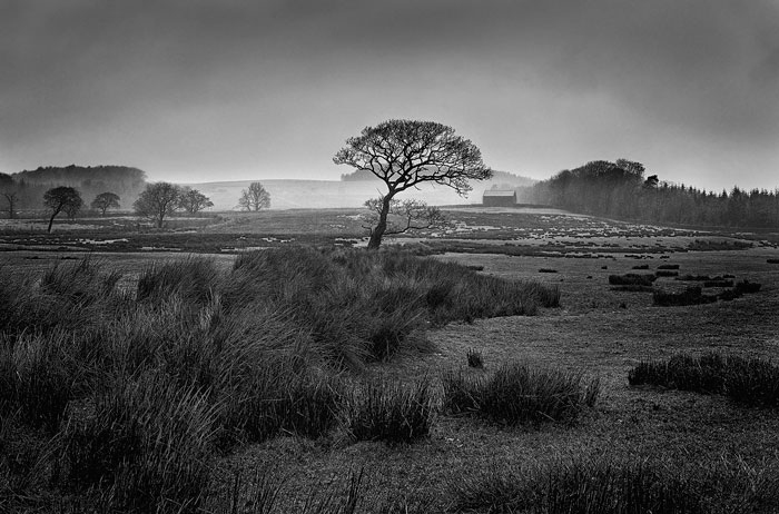 Greenside Hill, from Marshaw 