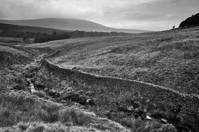 Hawthornthwaite Fell from Threaphaw Fell