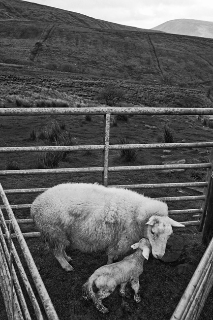 On the slopes of Whins Brow