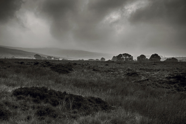 Fellside Farm and Catshaw Fell beyond
