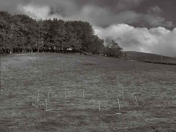 Enclosure, Saddle End, Bowland