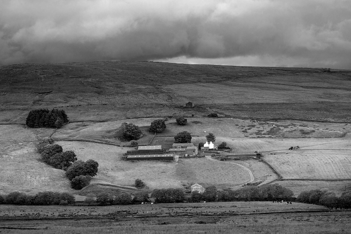 Low Laithe & Catlow farm