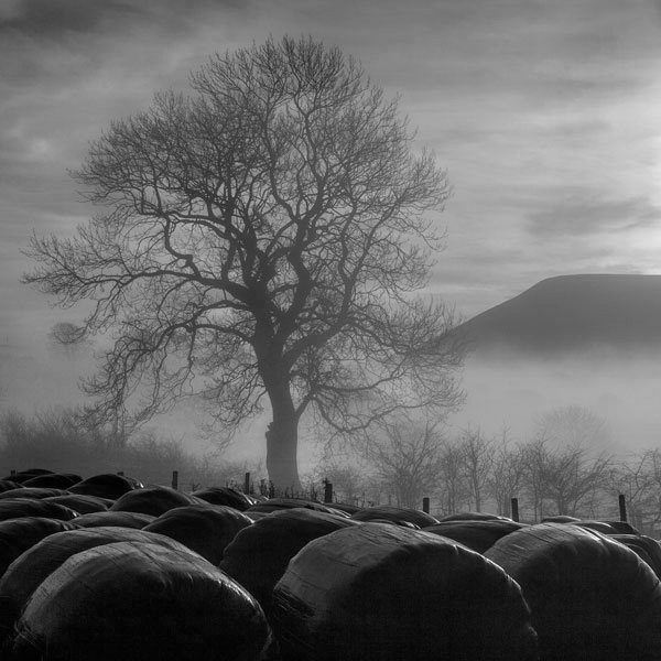 Misty Pendle 