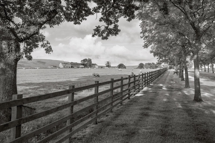 Abbeystead estate looking to Emmetts