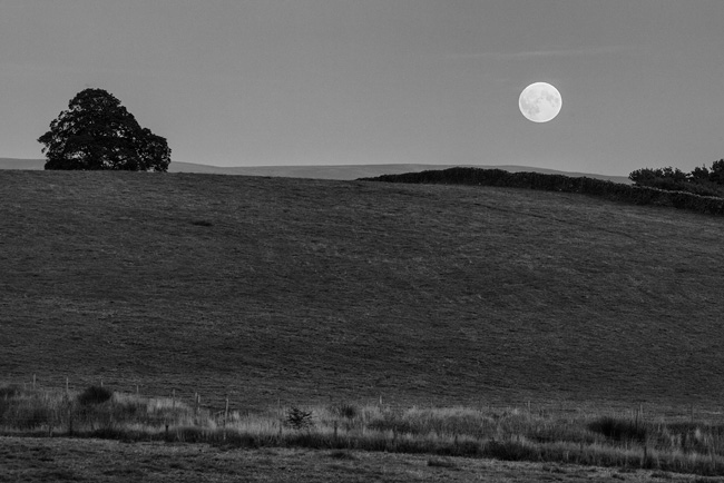 Night of the Lunar eclipse, Longridge Fell