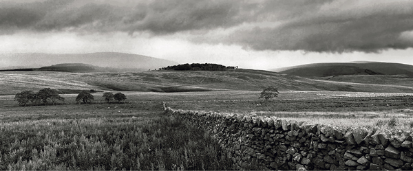 Untitled_Panorama1-DeNoiseAI-denoise-3