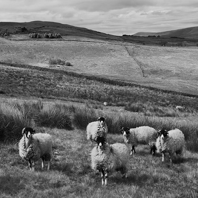 View to Parlick Pike From Waddington Fell, Lancs