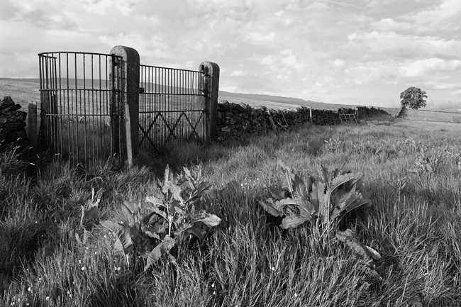 Kissing Gate, Duchy Of Lanaster Estate, Whitewell