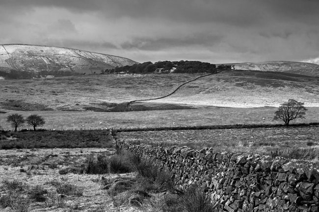 Birkett Fell, Forest Of Bowland