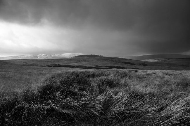 Birkett Fell and the Bowland Fells