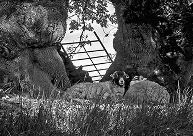 _DSC4648