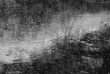 CRW_6156-16x12-8-bit-bwworked-unsharp-v3.jpg