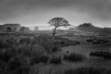 DSC01030.jpg