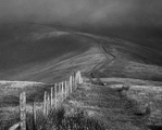 DSC02476.jpg