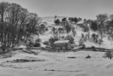 DSC02986.jpg