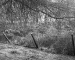 DSC02990-10x8.jpg