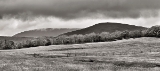 DSC04014-3mon-pan.jpg