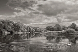 DSC05864-mon3.jpg