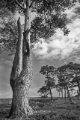 DSC05906.jpg