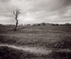 DSC06712-v2-10x12.jpg