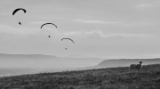 DSC0920518x10.jpg