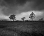 L1020413-2.jpg