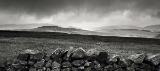L1020418.jpg