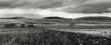 Untitled_Panorama1-DeNoiseAI-denoise-3.jpg