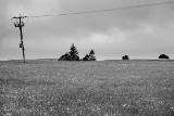 _DSC2761.jpg