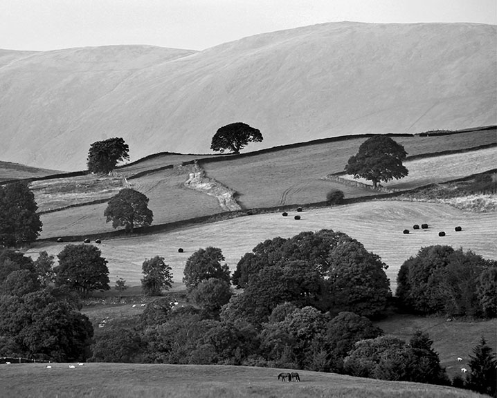 Grassgarth and Kentmere Park beyond