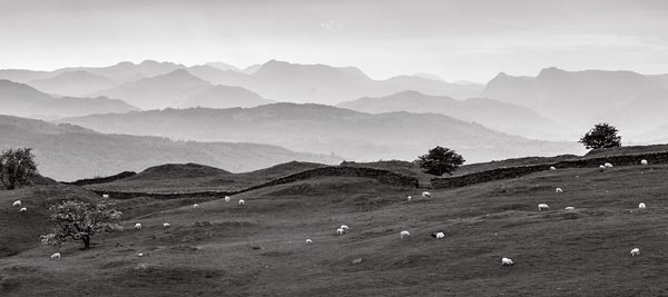 South Lakeland Panorama