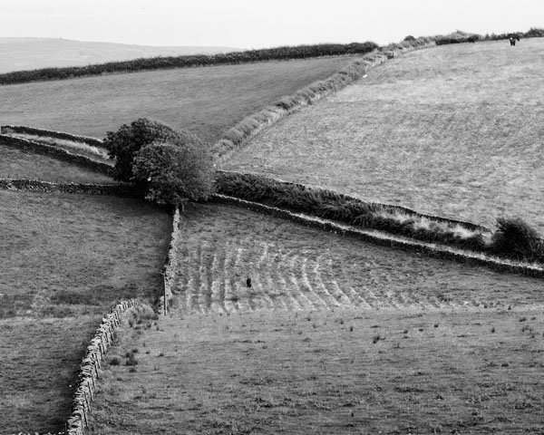 Field Enclosure, Cumbria -  Ref: 6583