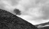 Cumbria