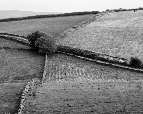 Field Enclosure, Cumbria -  Ref: 6583
