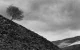 CRW_5985-bw.jpg