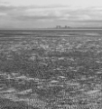 DSC04458.jpg