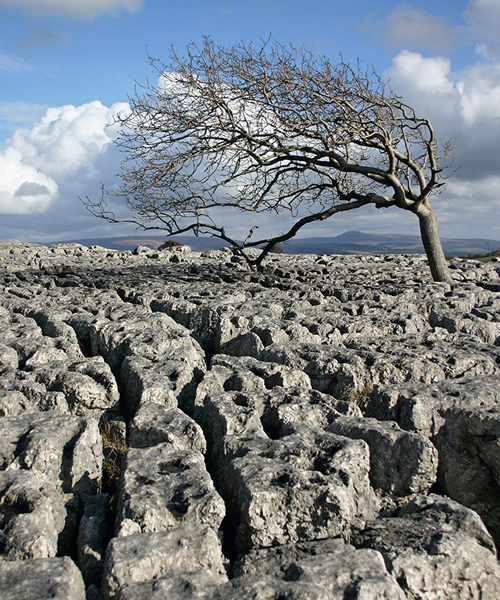 Distant Ingleborough