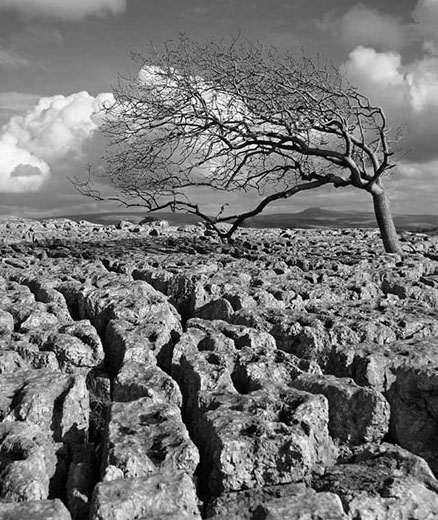 Distant Ingleborough Ref: 2557 Mono 